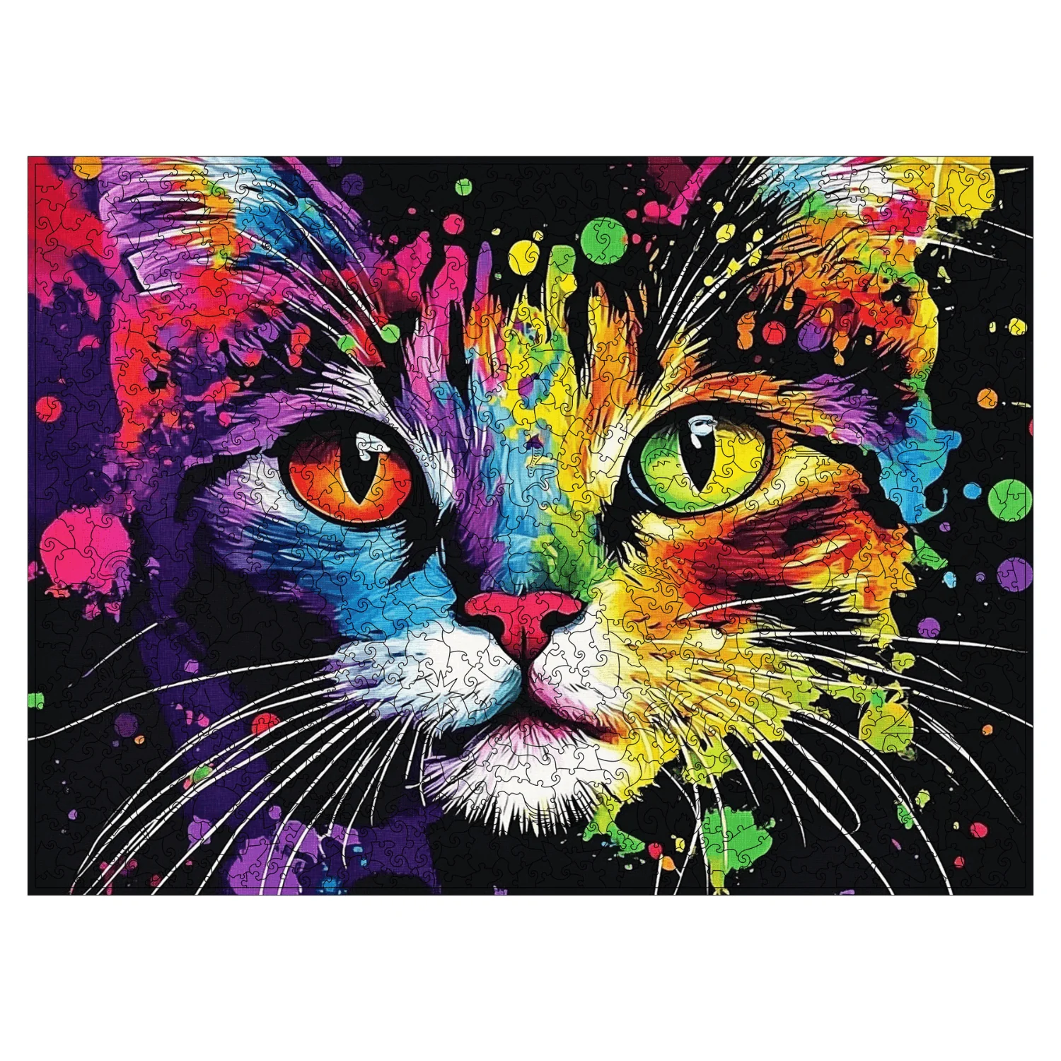 Bunte Katze
