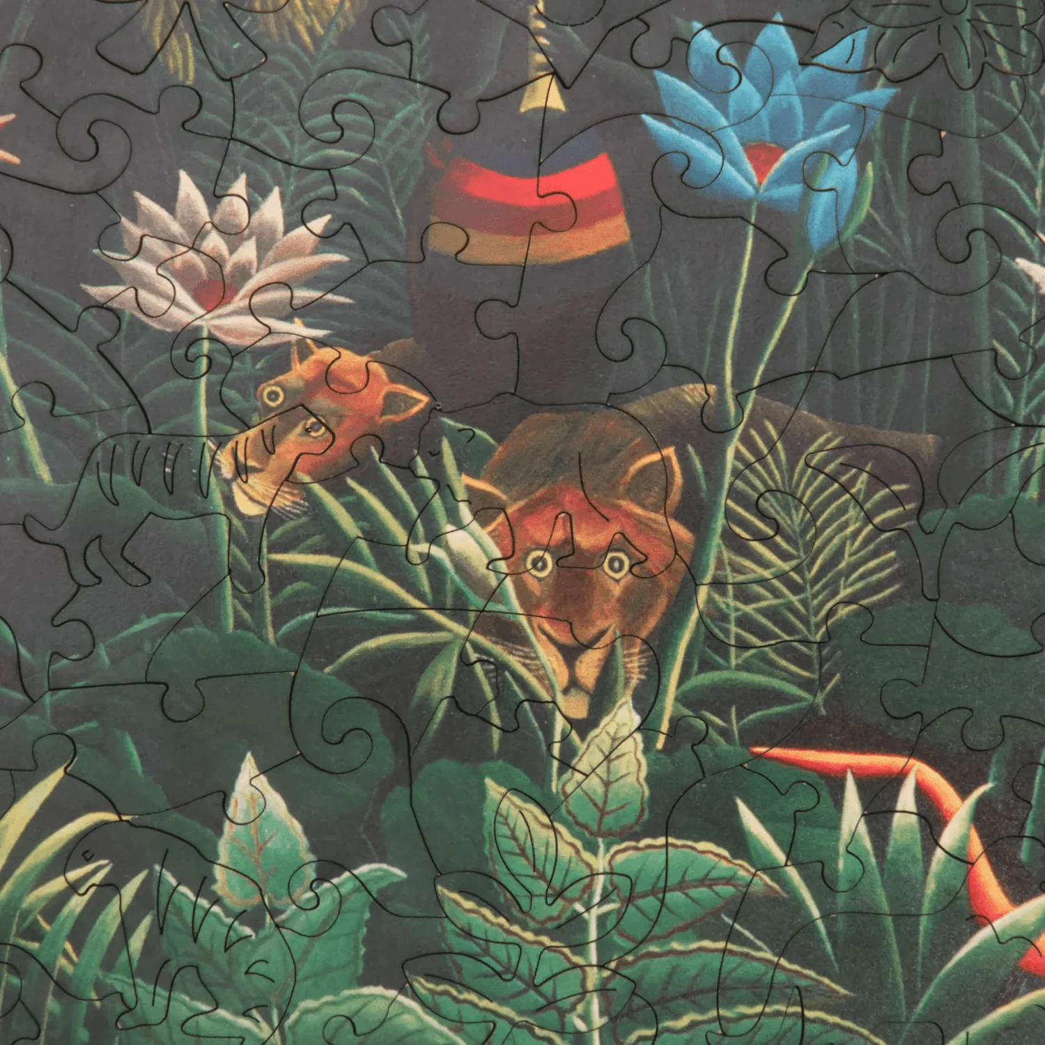Der Traum / Henri Rousseau - Image 12