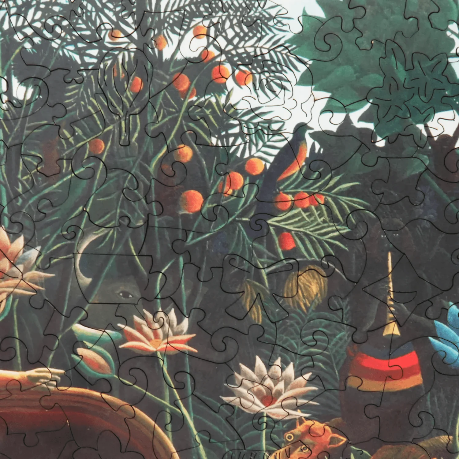 Der Traum / Henri Rousseau - Image 8