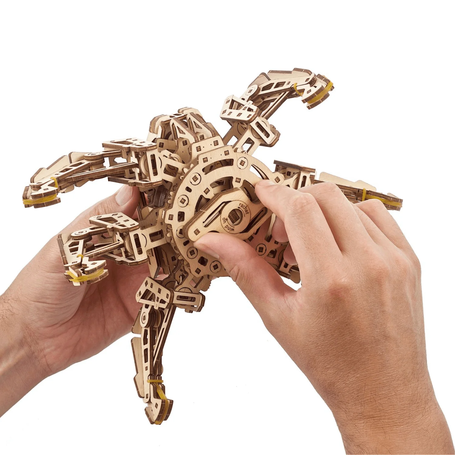 Hexapod-Explorer - Image 6