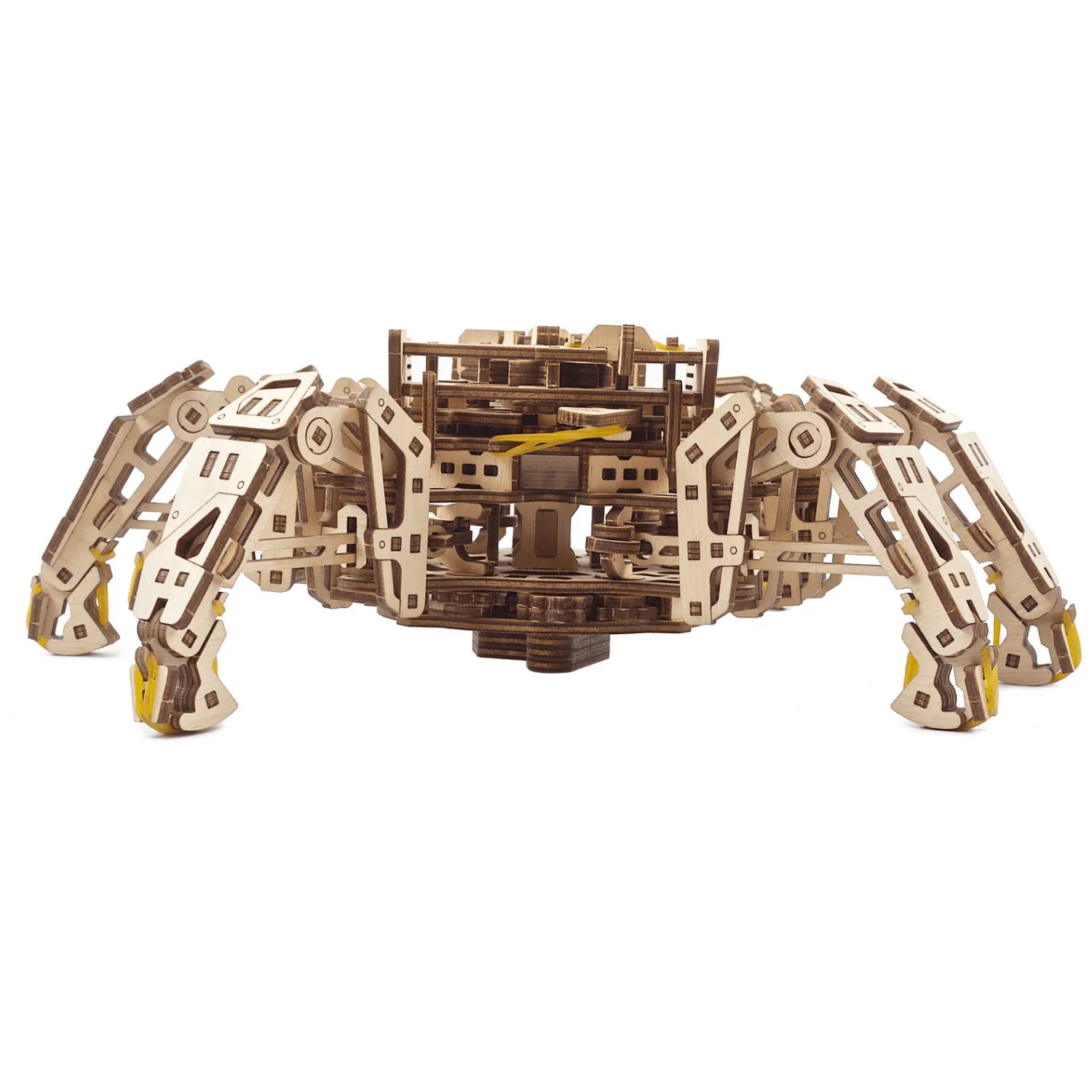 Hexapod-Explorer - Image 7