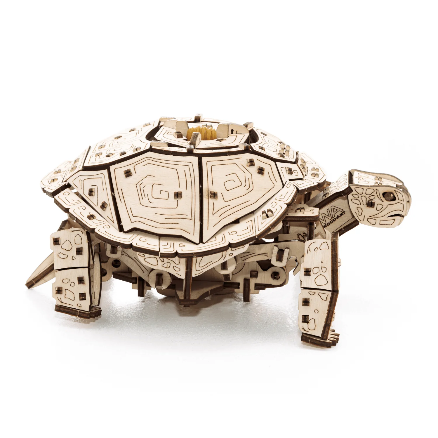 Schildkröten-Reise — Muttertags-Bausatz mit Mechanik - Image 10