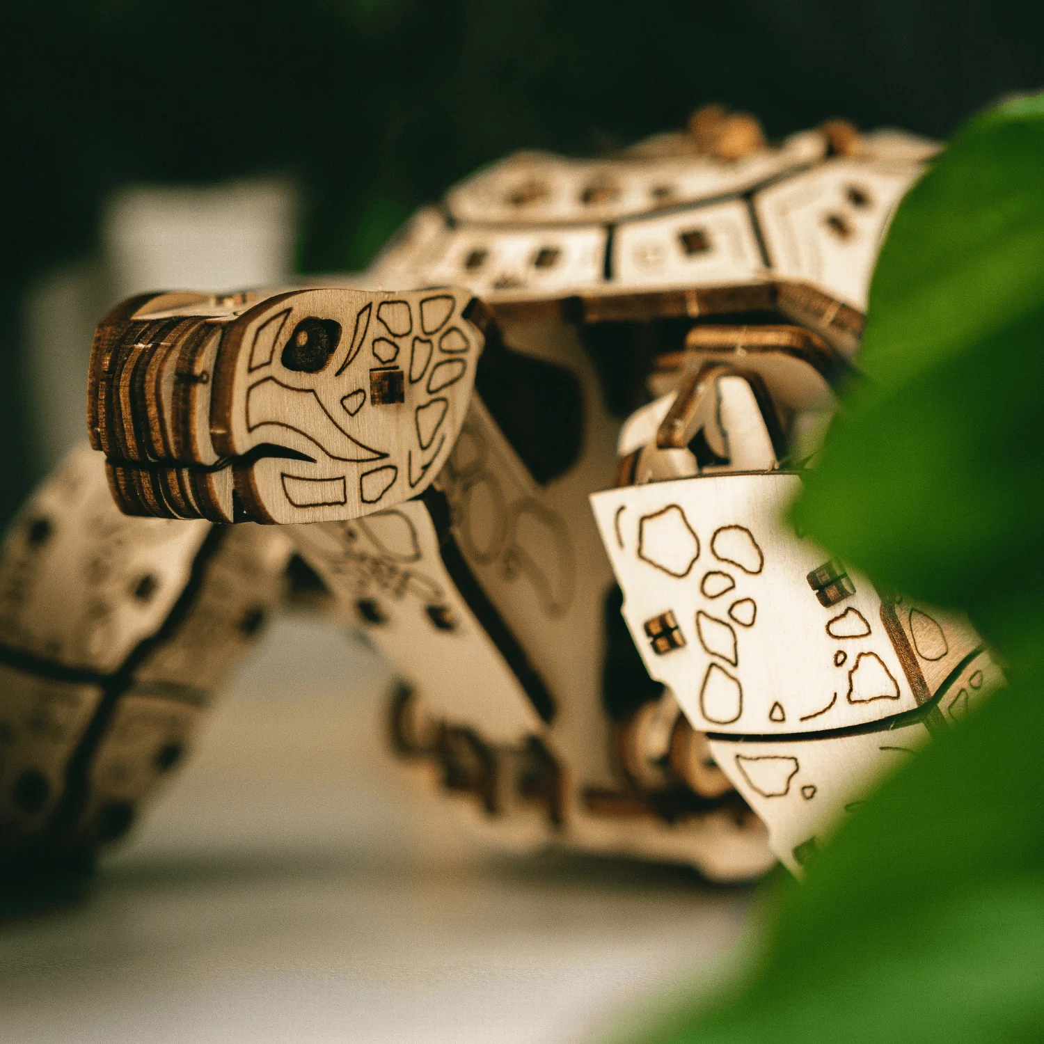 Schildkröten-Reise — Muttertags-Bausatz mit Mechanik - Image 7