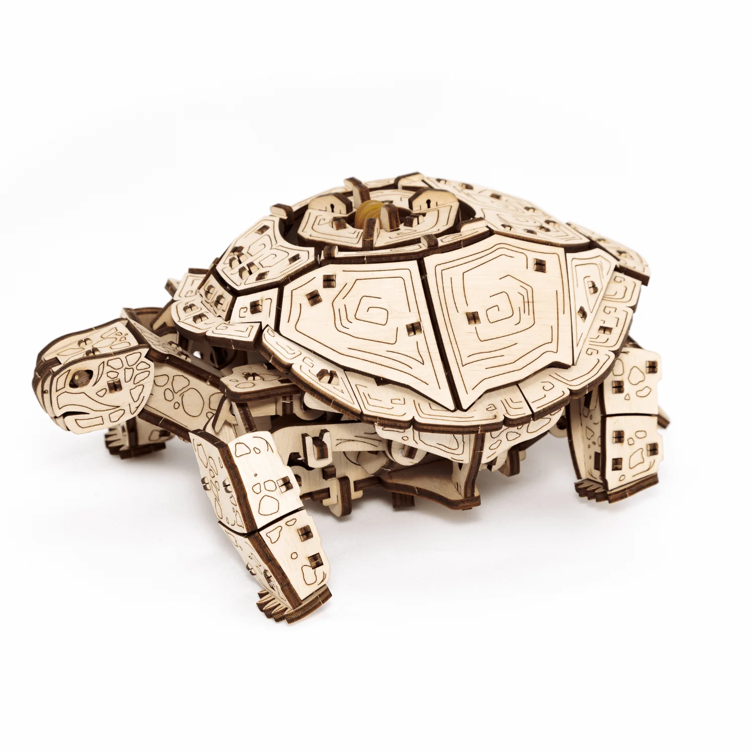 Schildkröten-Reise — Muttertags-Bausatz mit Mechanik - Image 8