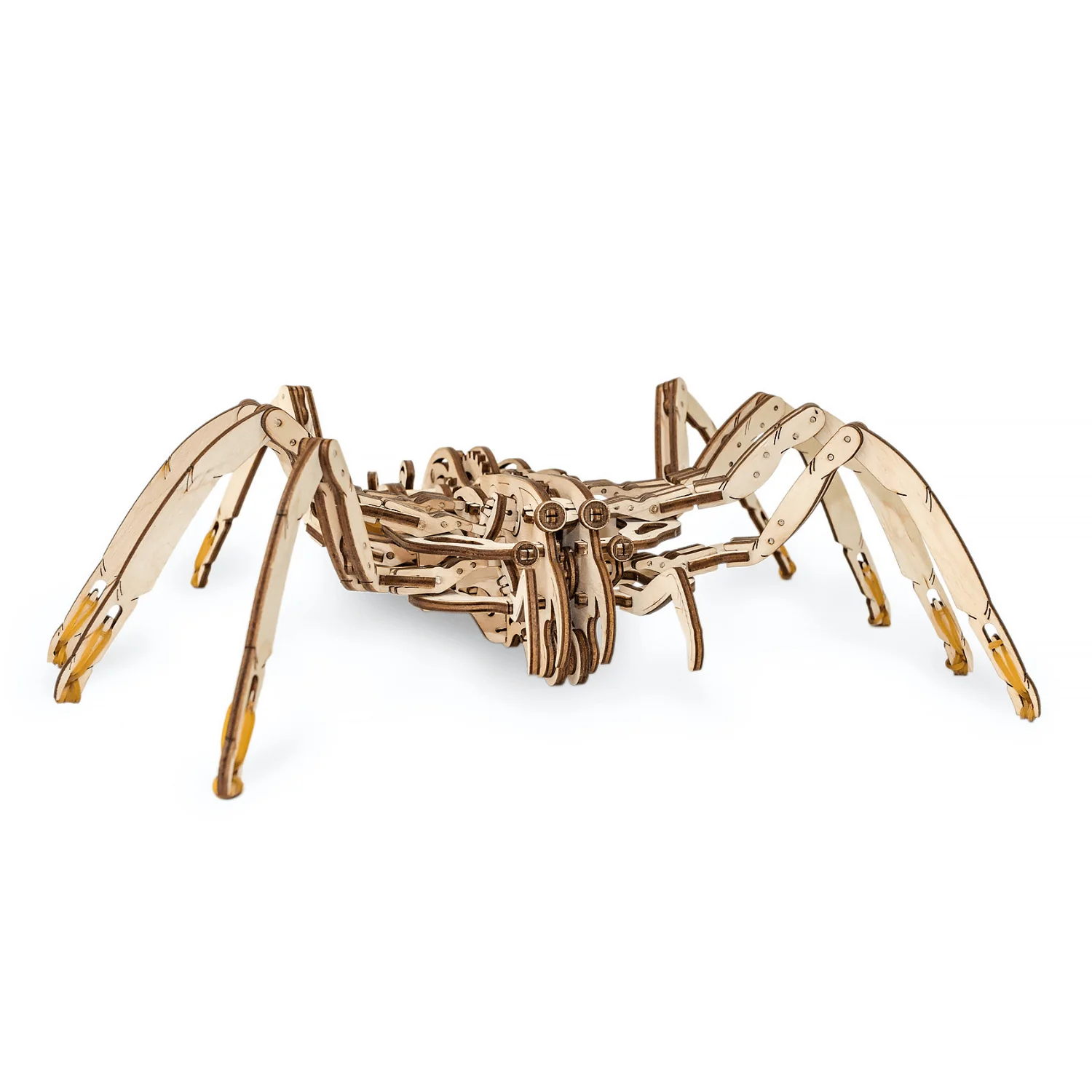 Spinne Mechanisch - Image 4