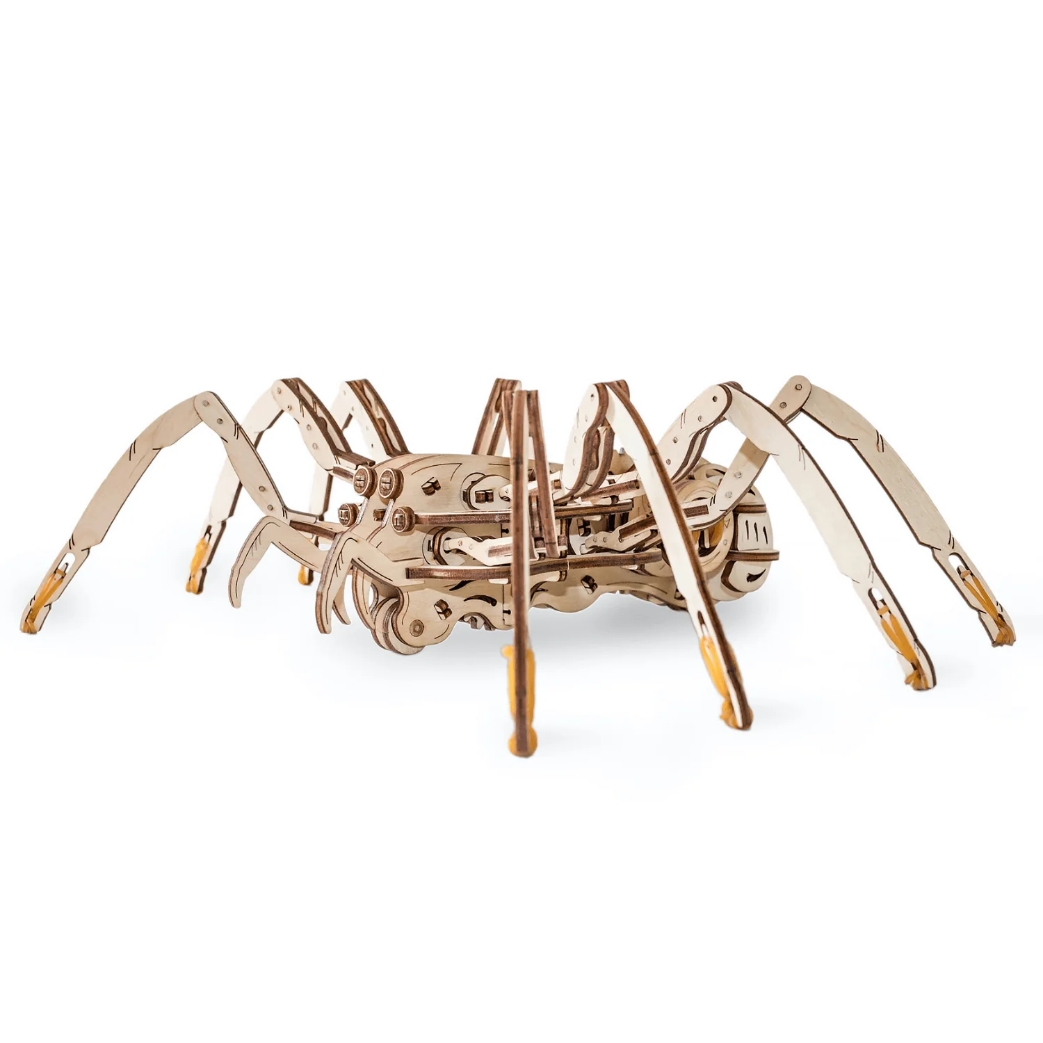 Spinne Mechanisch - Image 6